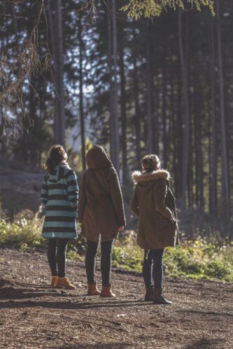 forest-1010583_1280